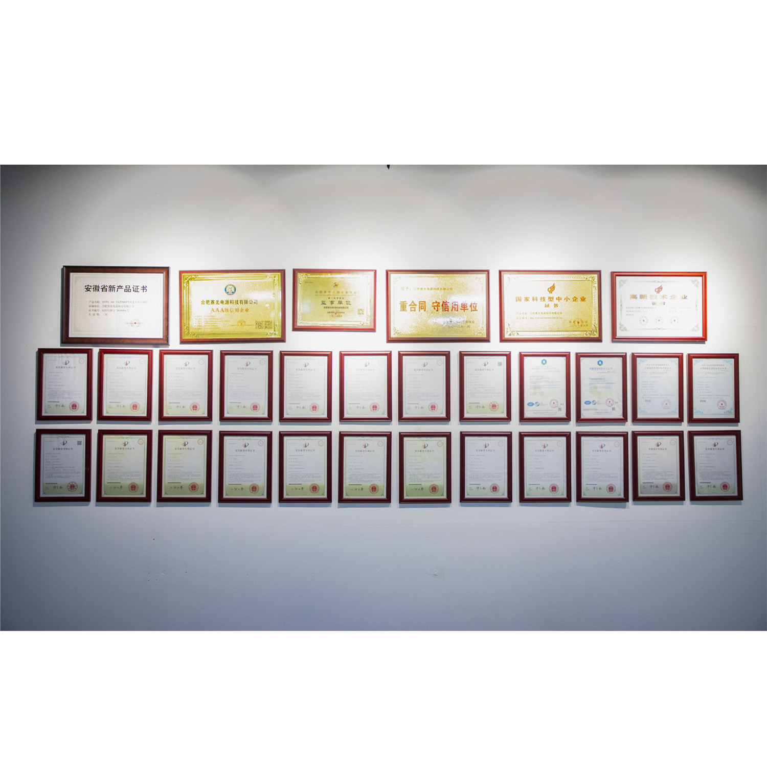 China Anhui Sunway New Energy Technology Co., Ltd. Perfil da companhia